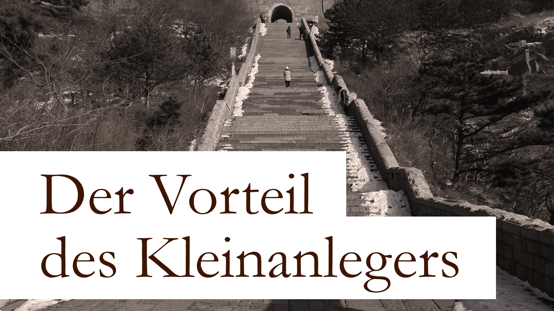 Der Vorteil des Kleinanlegers