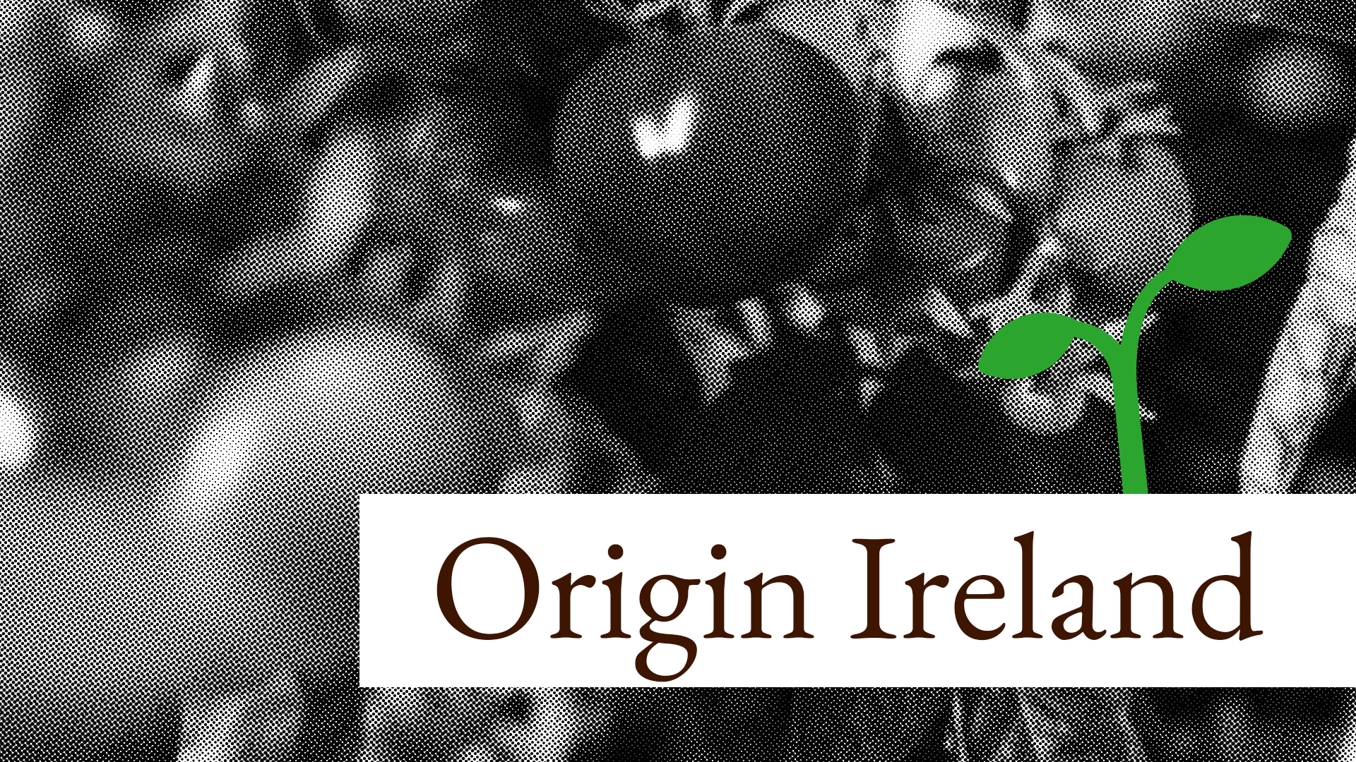Origin food Ireland is cheap and 🌱 promising