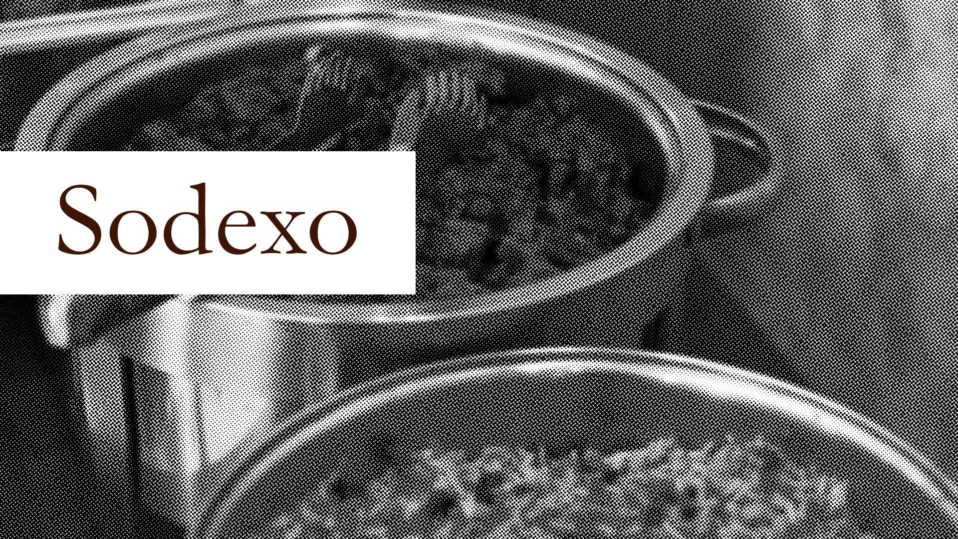 Sodexo: a controversial, yet interesting opportunity