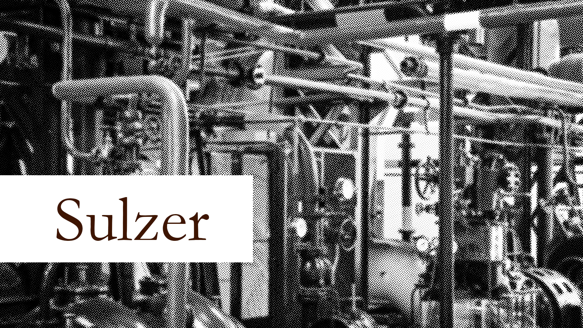 Sulzer for its growth momentum and biofuels