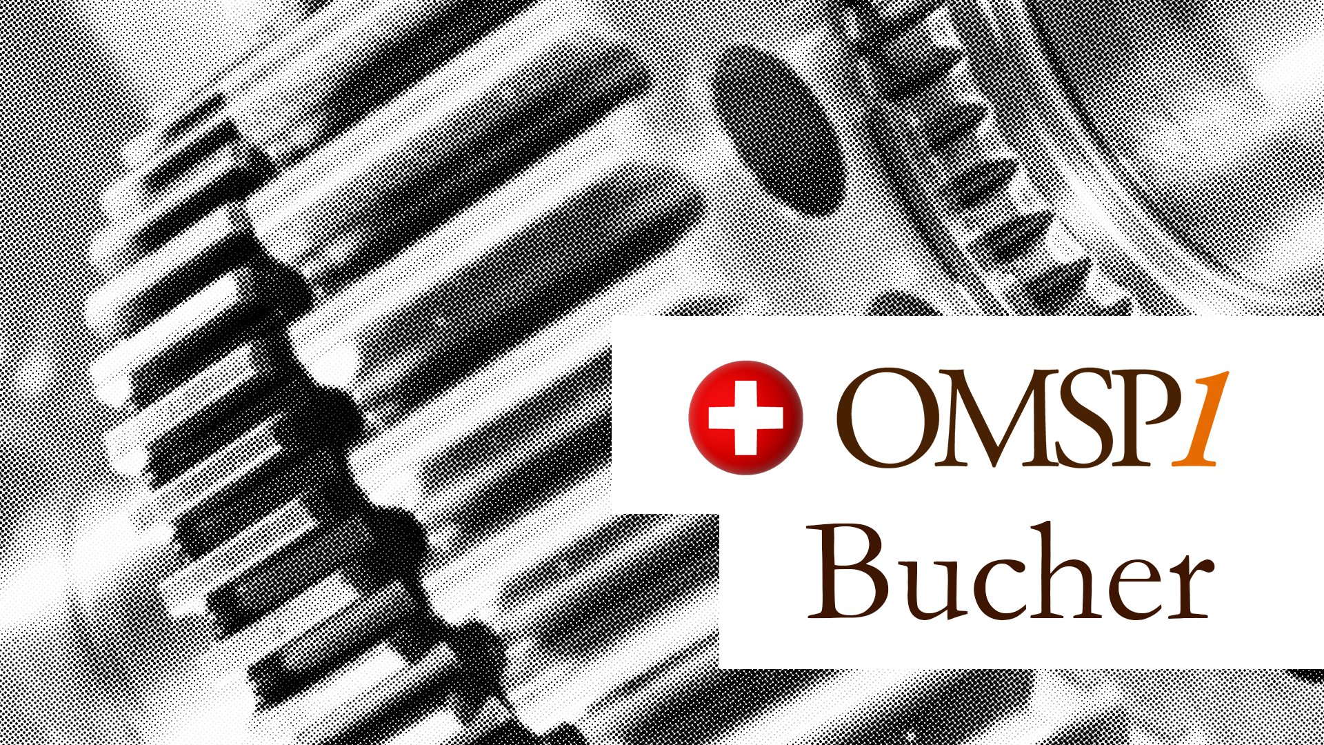 Swiss Machines: Bucher Industries