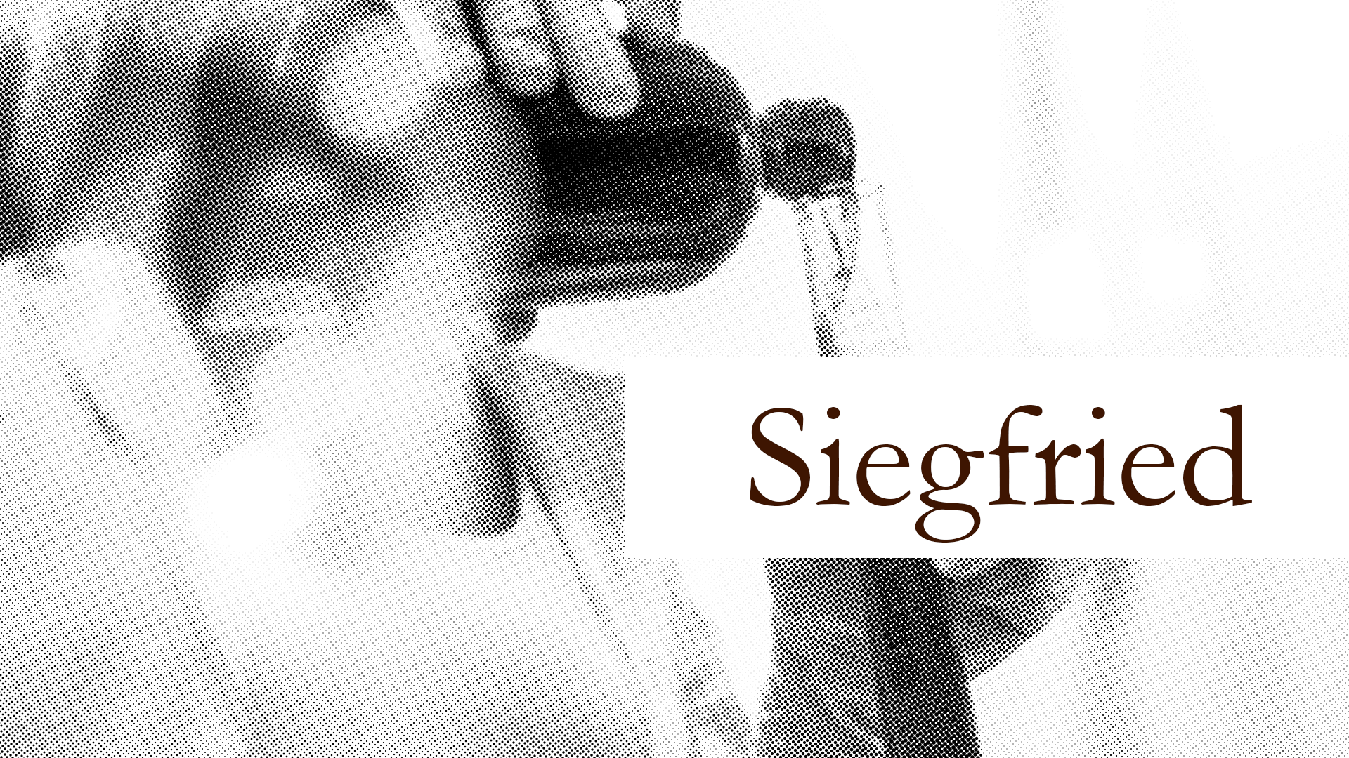 Swiss Pharma Supplier: Siegfried