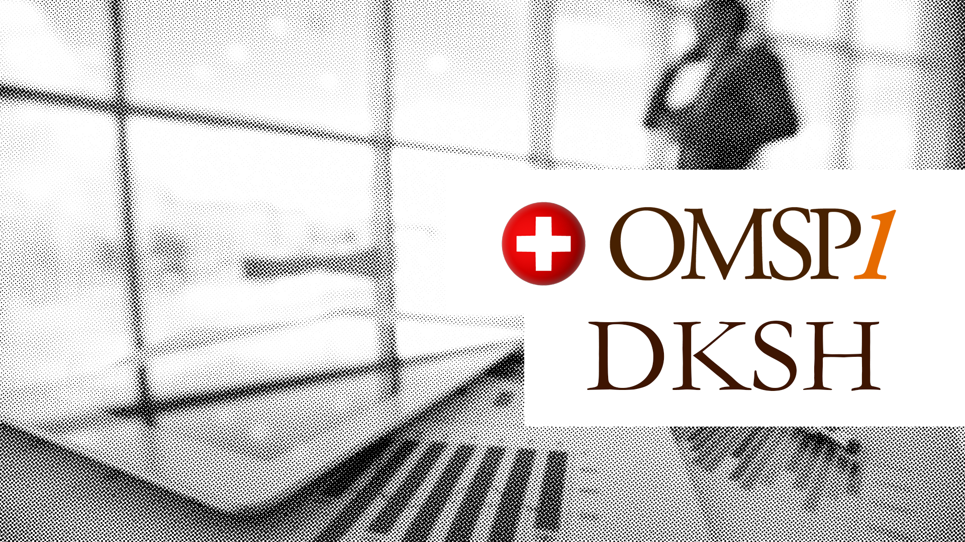 Swiss Market Expansion Services: DKSH