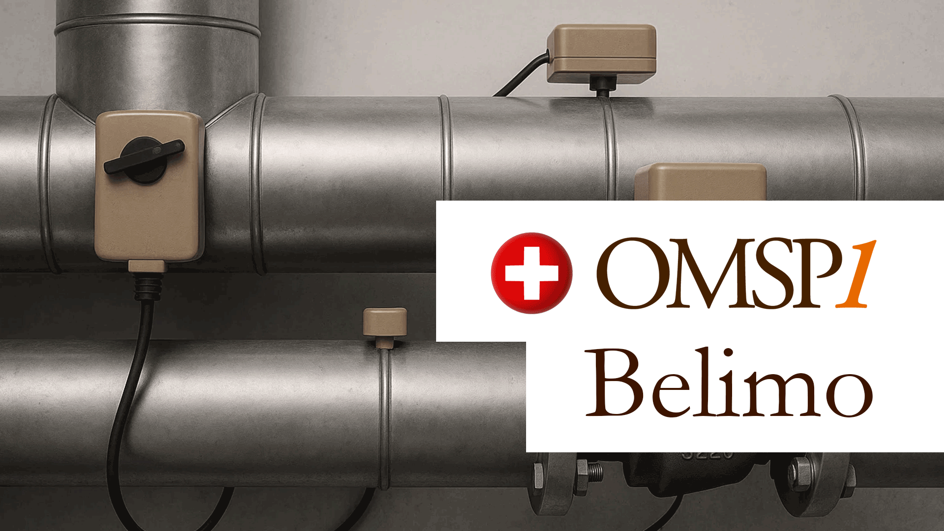 OMSP1: Belimo Holding AG - Intelligent Solutions for Smart Buildings