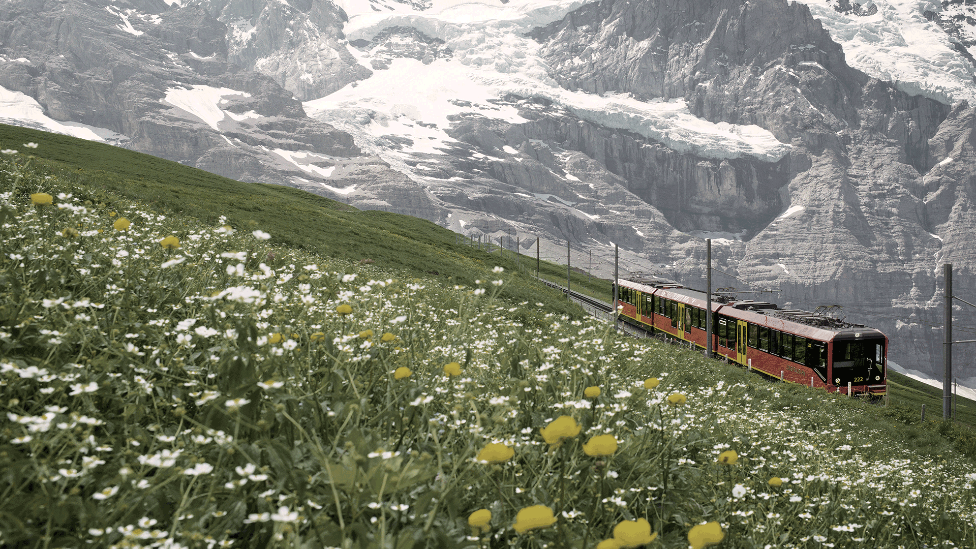 Jungfraubahn is the newest OMSP1 Swiss Pearl